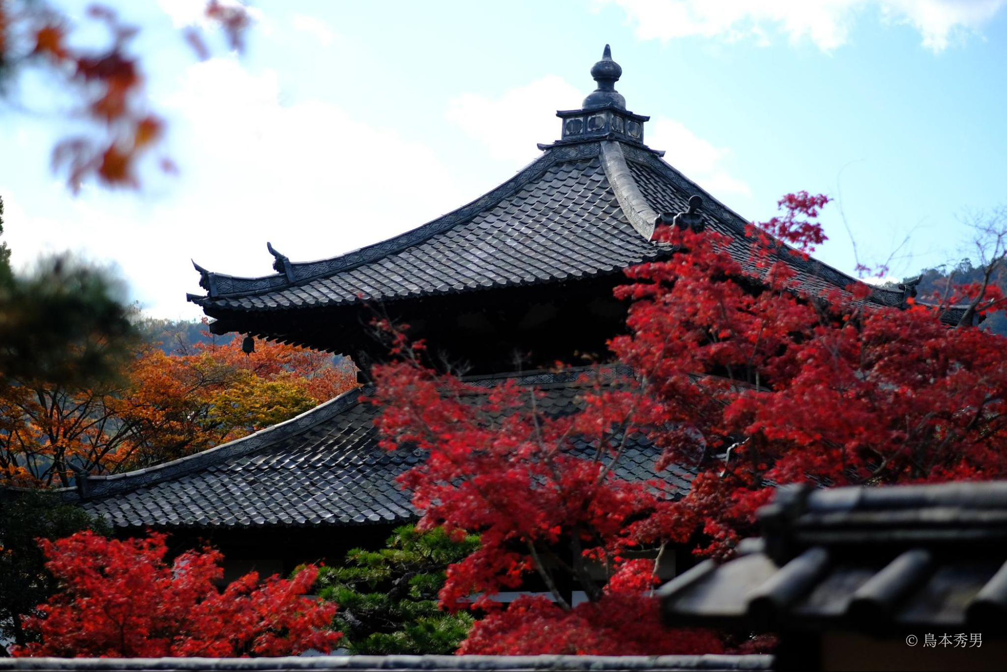 鹿王院　舎利殿