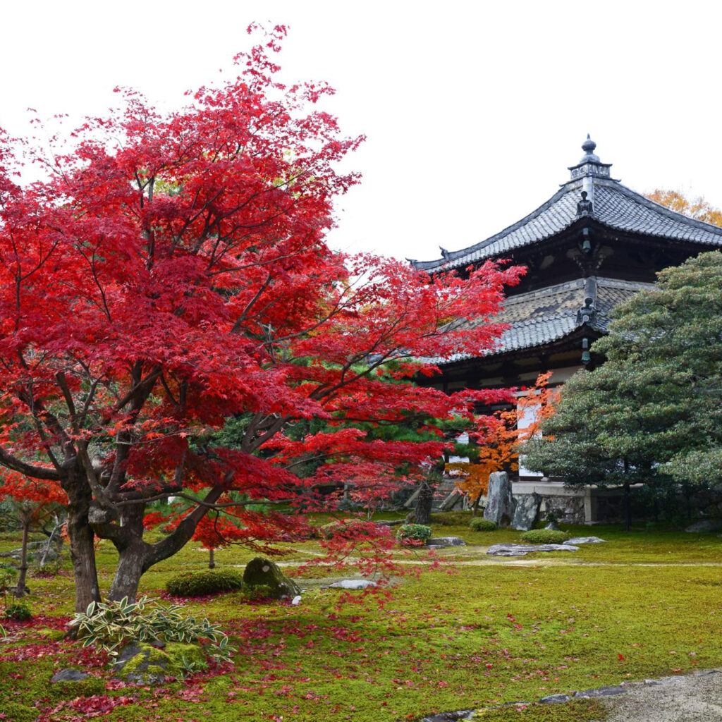 鹿王院　本庭
