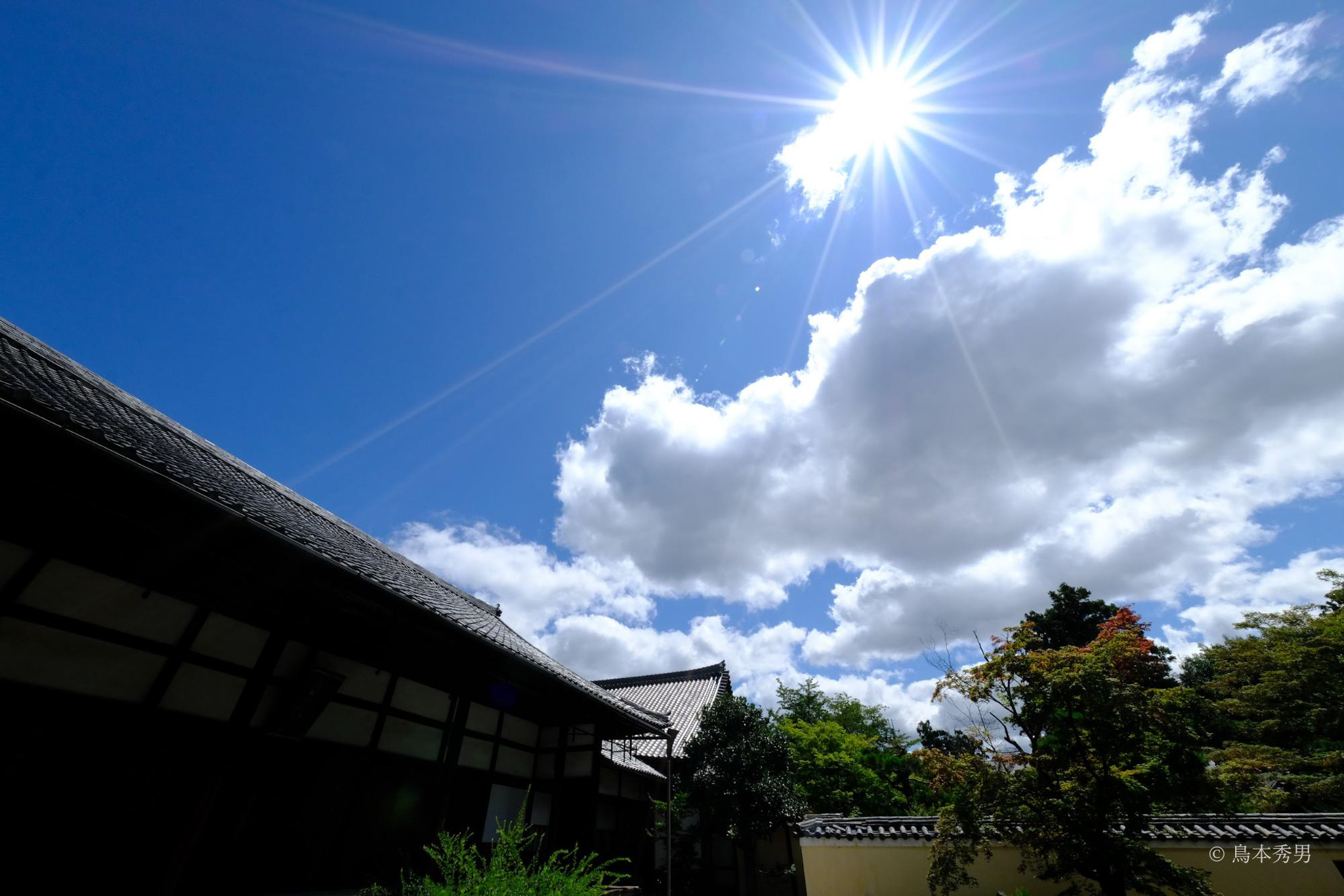 夏の鹿王院